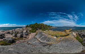 Rögrund Island, Alligator