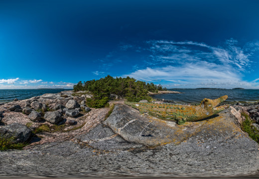 Rögrund Island, Alligator